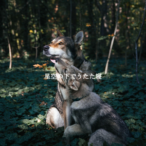 Uplifting Music for Deep Presence