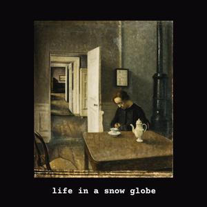 Life in a Snow Globe