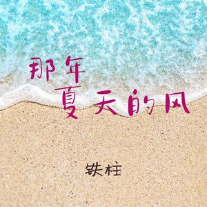 那年夏天的风