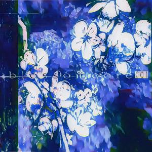 ◯ ☽ ◑ iridescent✩°｡⋆. ✮˚effervescent ◐ ❨ ◯ ₊˚..wₐₛ ₜₕᵢₛ ₑᵥₑᵣ ₘₑₐₙₜ..?