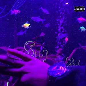 过火（prod.SK THE PLUG））