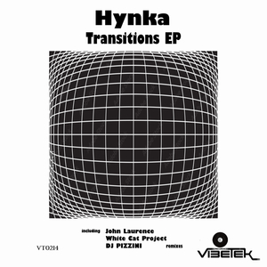Transitions (DJ PIZZINI remix)