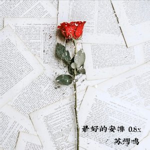 最好的安排 0.8x(铃声版)