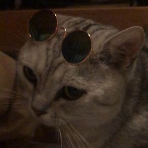 8 o'clock(Instrument)