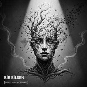 Bir Bilsen