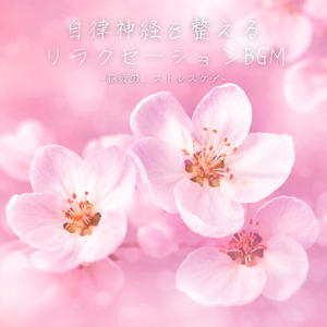 ヒーリング-深い眠りの熟睡BGM-