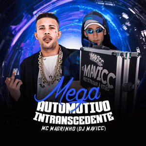 Mega Automotivo Intranscedente