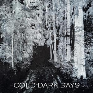 Snowgrave (feat. Franck Labracherie)
