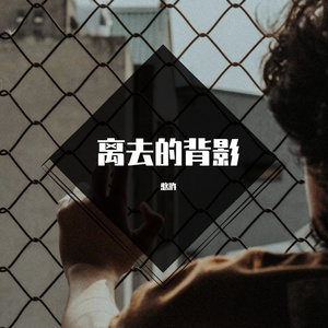 离去的背影