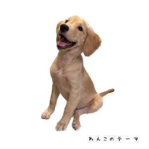 わんこのテーマ