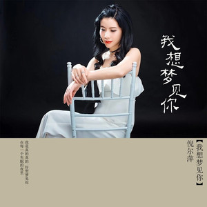 我想梦见你 (DJ苏平版)