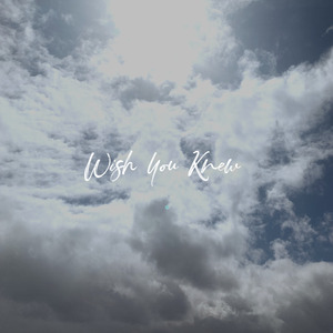 Wish You Knew