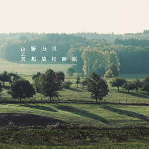 野风为信 (轻音乐)