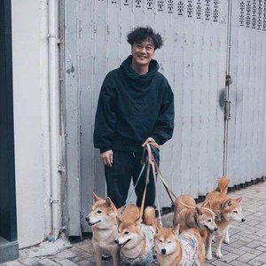 可惜不是你（片段）