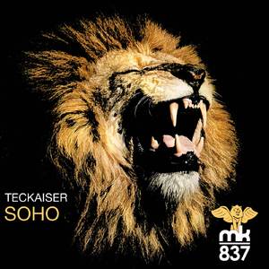 Soho (MicFreak Remix)