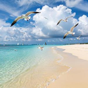 Позднее лето на пляже (Piano Version)