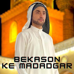 Bekason Ke Madadgaar