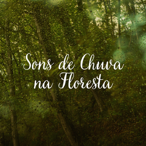 Sons de Chuva na Floresta (17)