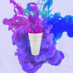 FLEX UP (Mai 玩具盒 bonus）