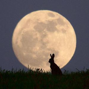 微睡む月の夜のアリア/月光假寐夜晚的咏叹调（翻自 立花慎之介）