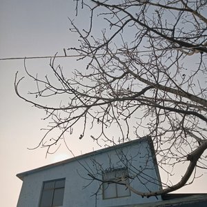 清风暖阳