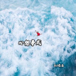 DJ龙总《兵来将挡水来土掩(DJ版)》