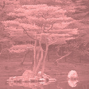 Over Dot (Original Mix)