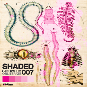 Sandworm (Original Mix)
