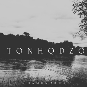 Ripayi Ngozi (Mbira Ne Hosho)