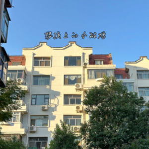 楼顶上的小斑鸠