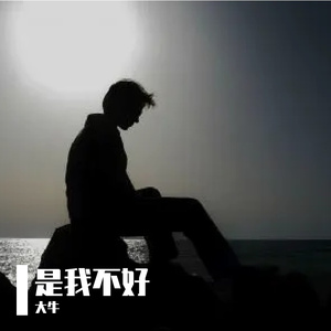 是我不好