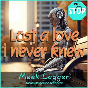 Lost a love i never knew