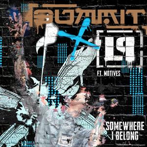 Somewhere I Belong (feat. Motives)