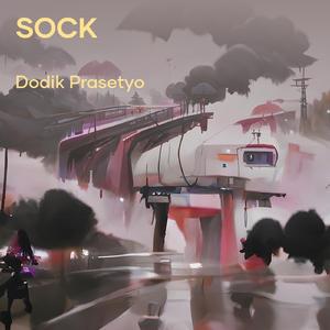 Sock
