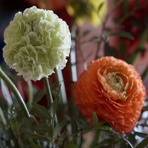 未绽放的花 piano version