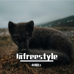 玩freestyle