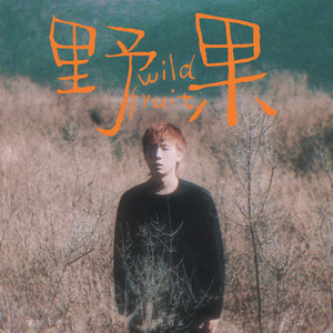 野果（Wild fruit）