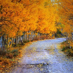 钢琴白噪音里的入眠序曲