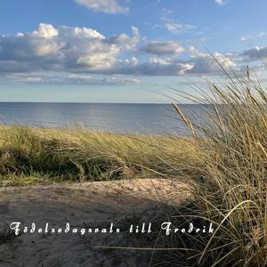 Födelsedagsvals till Fredrik