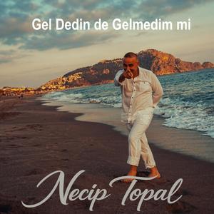 Gel dedin de gelmedim mi