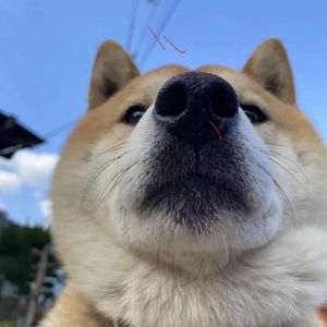 生活转弯后是幸福