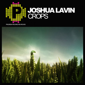 Crops (Original Mix)