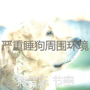 一尘不染小狗印象数