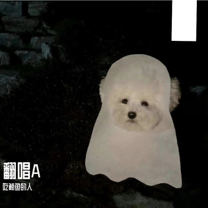 安和桥(Cover 宋冬野）