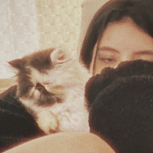 Capital (eu não suporto mais esse lugar...)