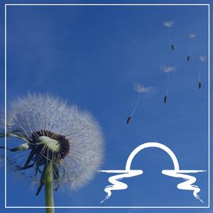 Freed all of a Sudden