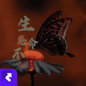 生命不息（纯音乐）