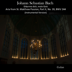 J.S. Bach: Erbarme dich, mein Gott: Aria from St. Matthew Passion, Pt. II, No. 39, BWV 244 (Instrumental Version)