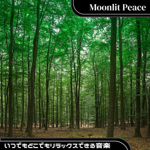 Subtle Dance of Daylight