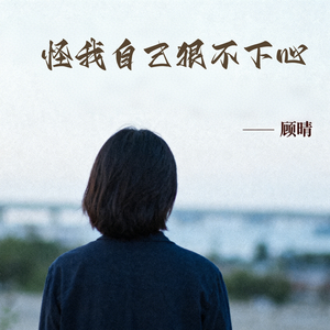 怪我自己狠不下心伴奏